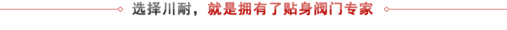 上海川耐 - 專(zhuān)業(yè)閥門(mén)生產(chǎn)廠家